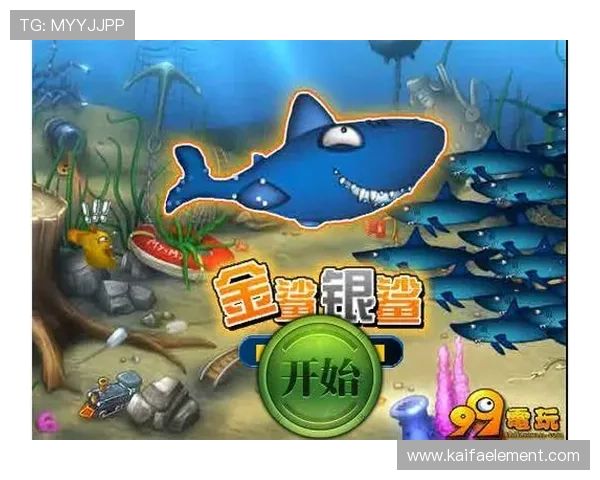 金鲨银鲨游戏中的隐藏技巧和秘密玩法揭秘提升你的游戏体验